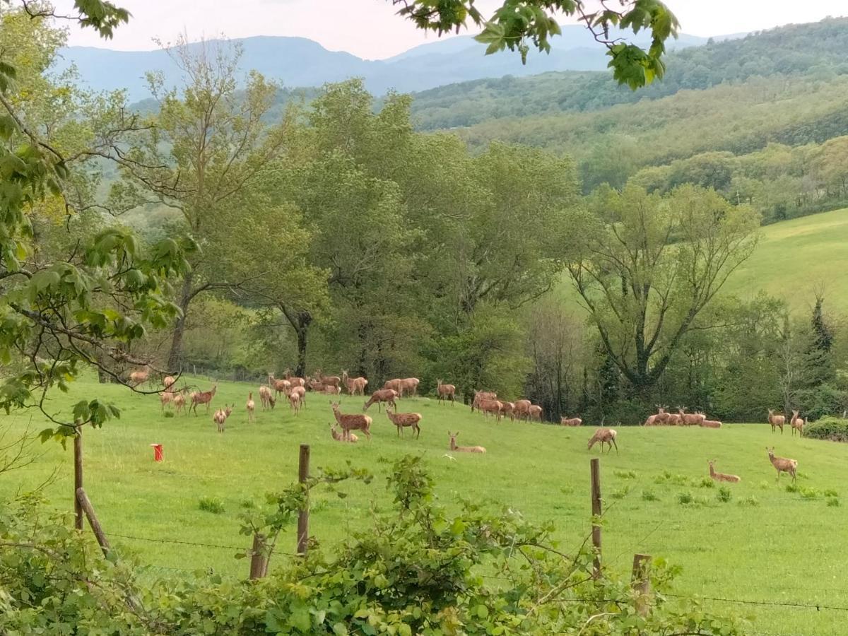 La Casetta Di Bruno Sul Passo Della Futa Traversa Zewnętrze zdjęcie